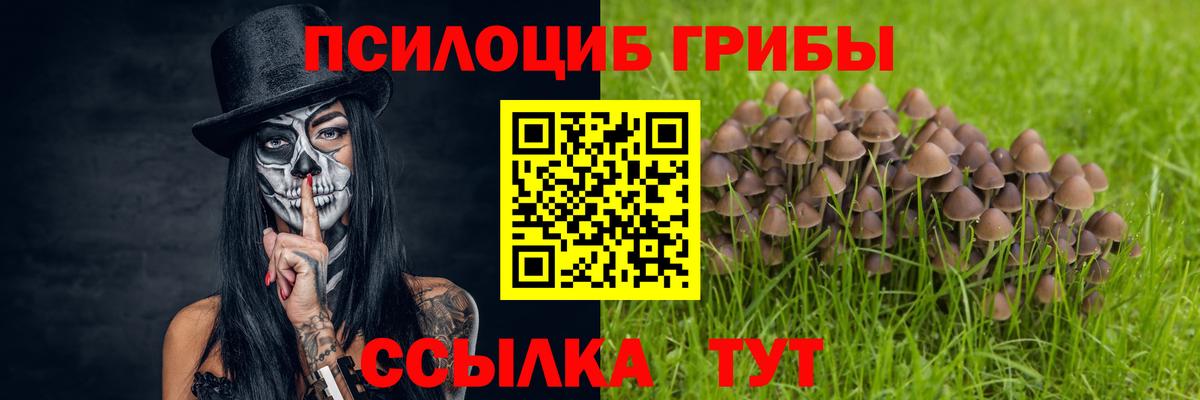 Кисловодск  Псилоцибиновые грибы GOLDEN TEACHER  купить закладку  Вход с VPN  Псилоцибиновые грибы ЛСД 
